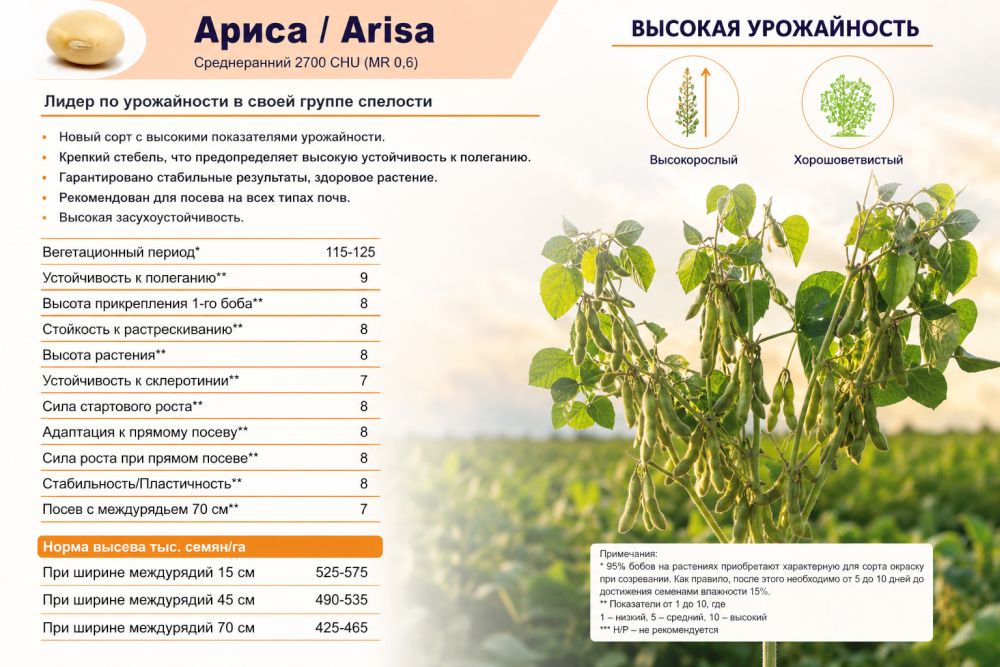 Продажа сои Ариса