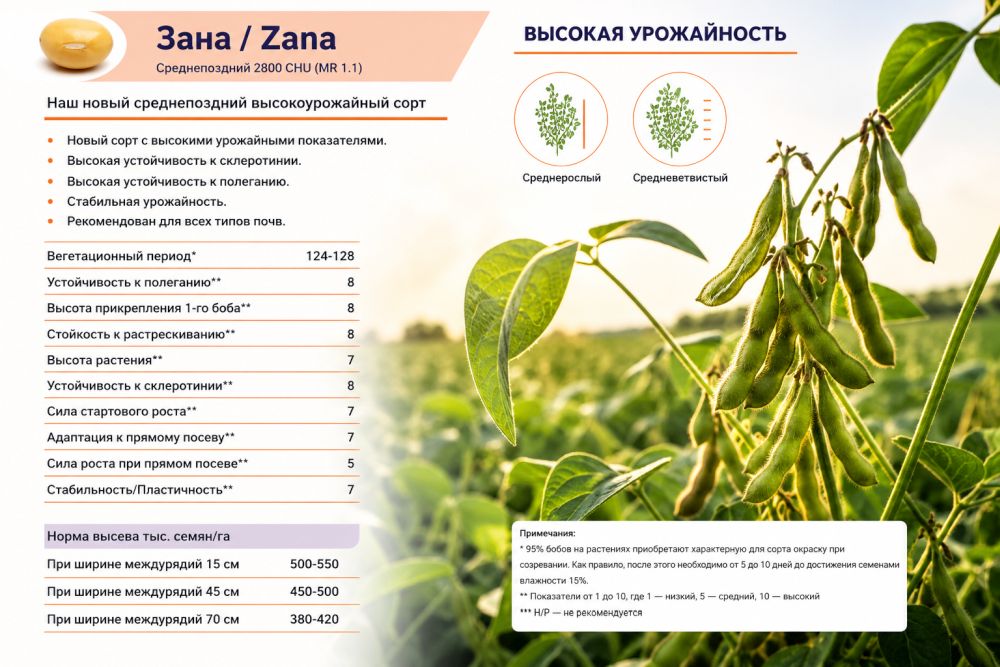 Продажа сои Зана