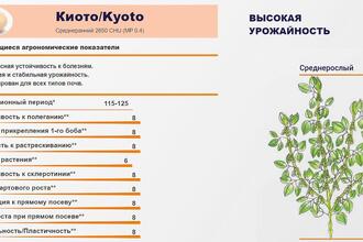 Семена сои КИОТО селекции Прогрейн